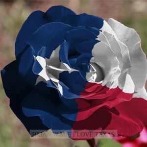 Meet your Posher, Tonykathy